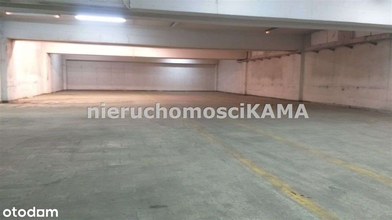 Hala/Magazyn, 769 m², Bielsko-Biała - Pełny obrazek: 4/8