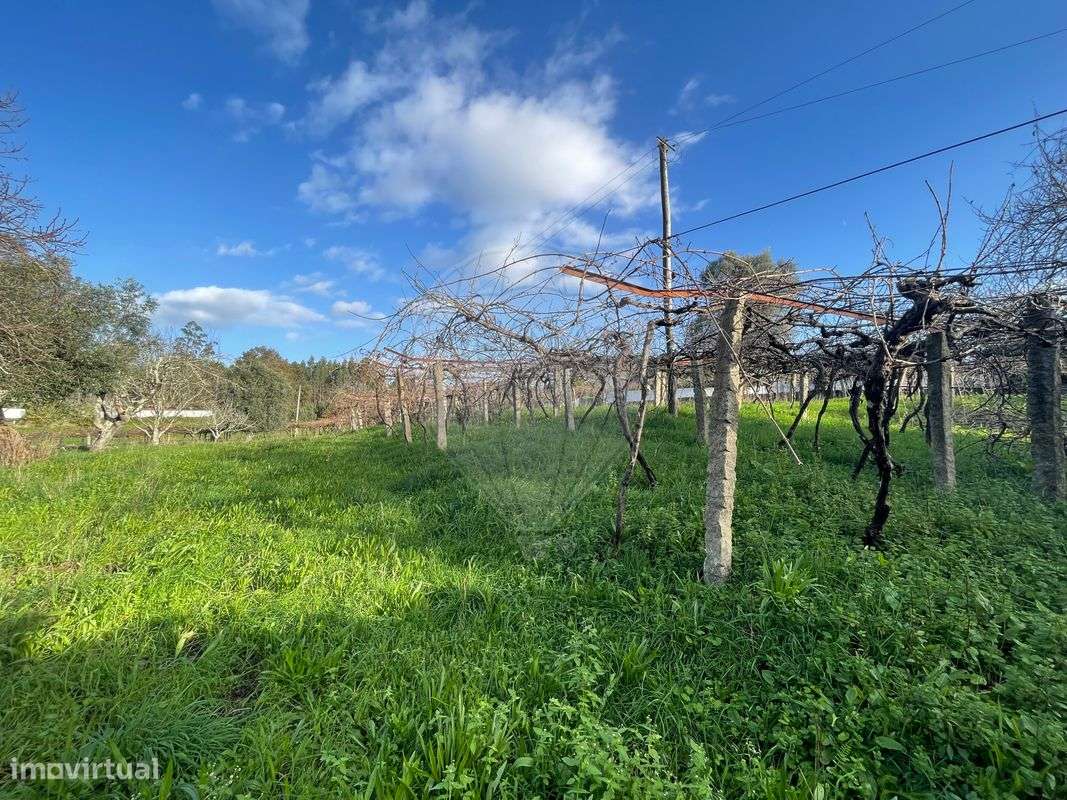 Terreno  para venda - Grande imagem: 4/11