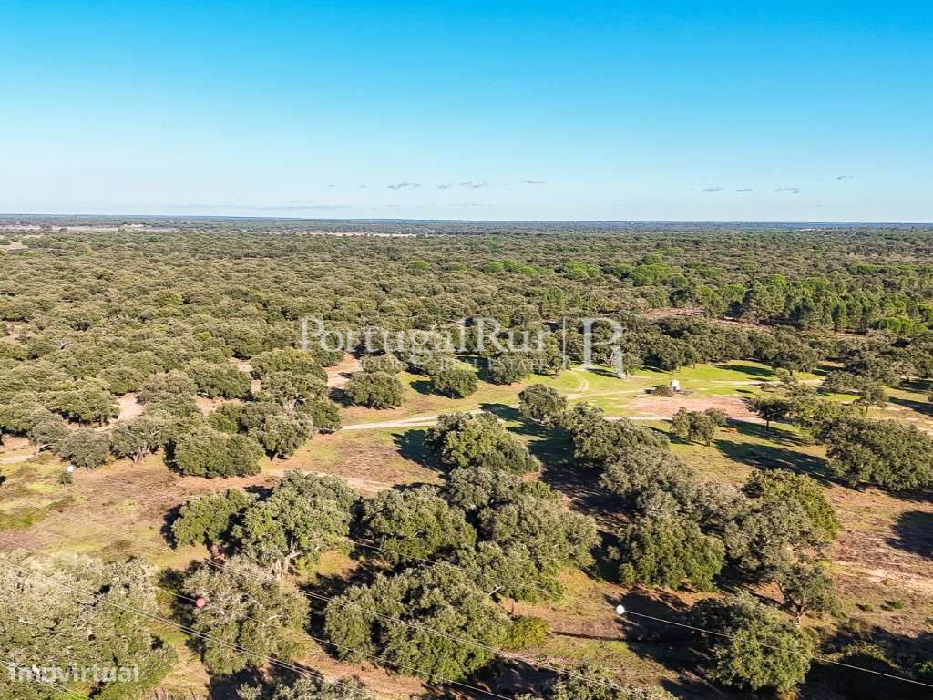Herdade de 60 hectares para criação bovina e equina perto de Lisboa-59