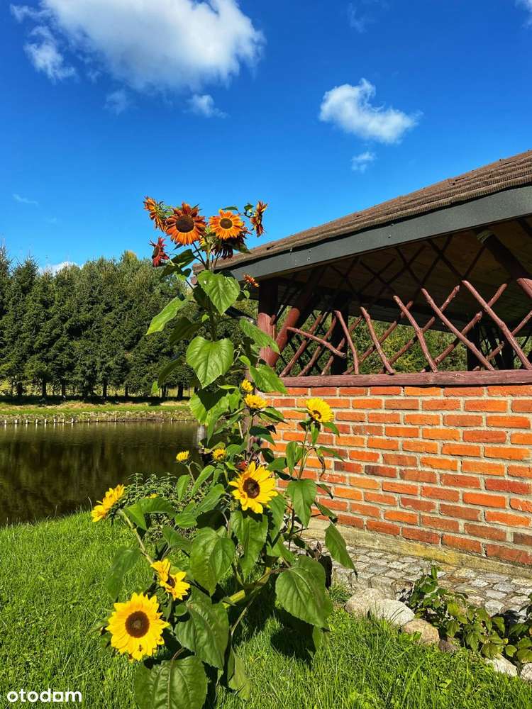 Posiadłość z bala, stawy, prywatny las!Jeziorak-9