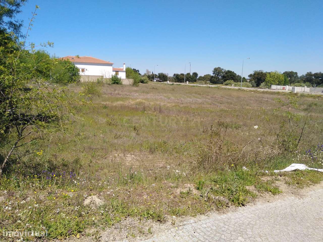 Terreno Urbano p/ Construção, Escalos de Cima - Grande imagem: 4/4