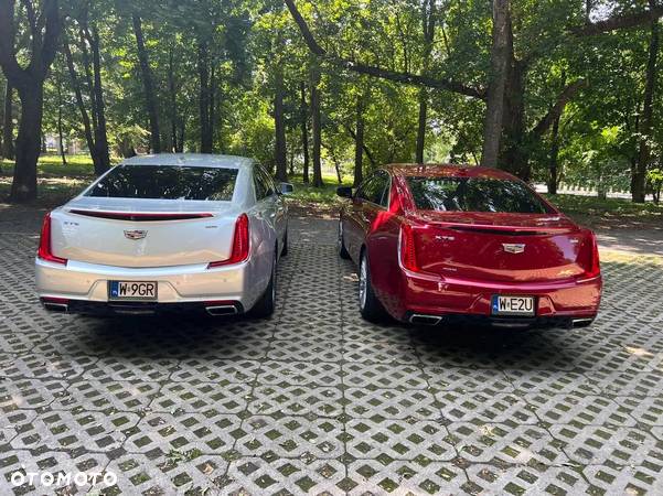 Cadillac XTS - 7