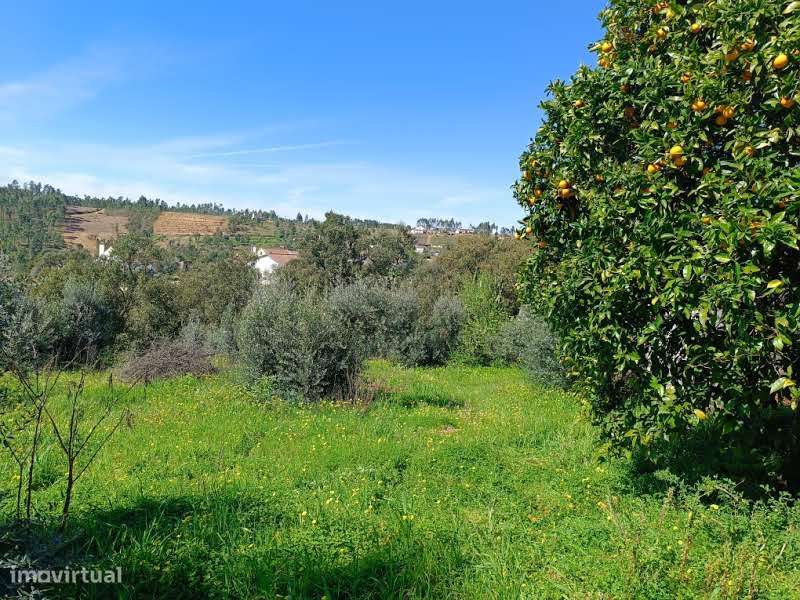 Moradia para Restaurar T3 Venda em Santiago de Montalegre,Sardoal - Grande imagem: 4/10