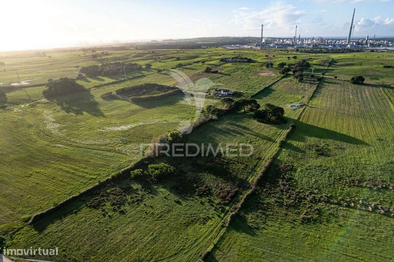 Terreno para fins industriais em Sines (ZILS) - Grande imagem: 3/15
