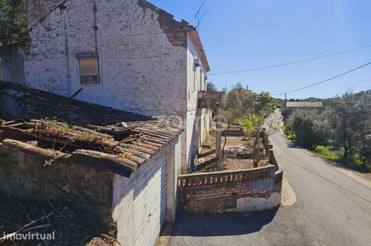 Moradia | Terreno 6530 m2 | Entrevinhas | Sardoal - Grande imagem: 5/35