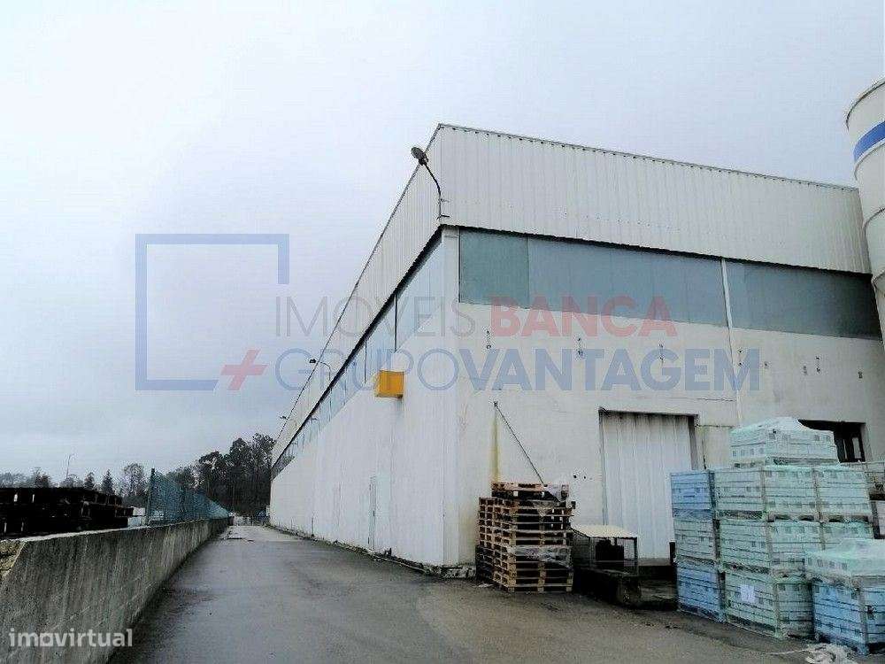 Armazem na ZI Oiã para investimento - Grande imagem: 4/6