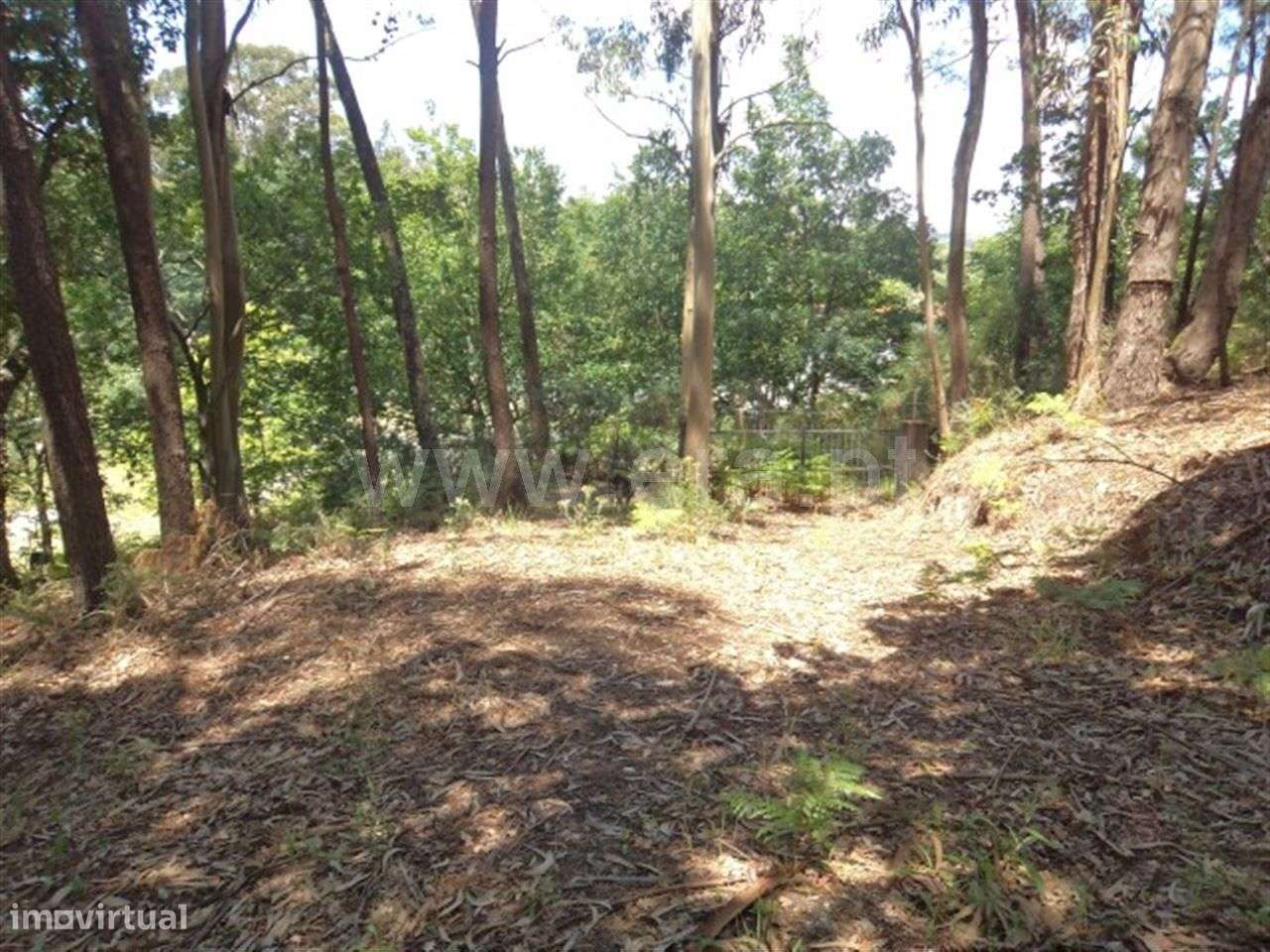 Terreno - Grande imagem: 5/9