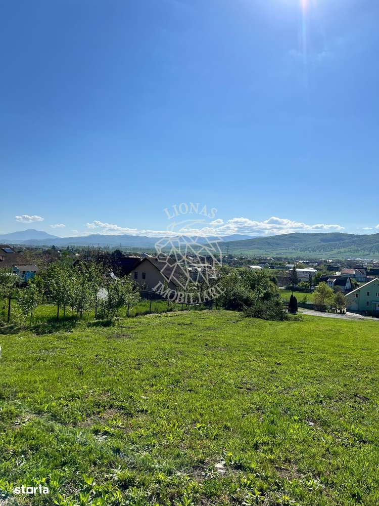 Teren intravilan 1800mp-utilitati-parcelabil-ideal casa-Viile cu Pomi - Imagine principală: 3/6