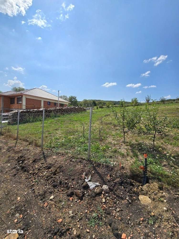 Teren INTRAVILAN cu utilități Gaz Curent Apă Popești - Imagine principală: 3/4