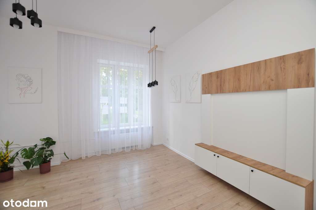 3 pokoje przy parku po kapitalnym remoncie - Pełny obrazek: 3/12