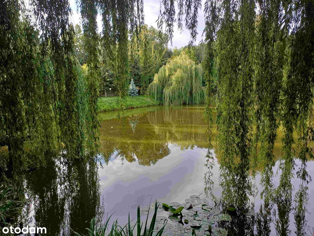 DOLINA BARYCZY - Dom wolnostojący na pięknej działce z własnym stawem-6
