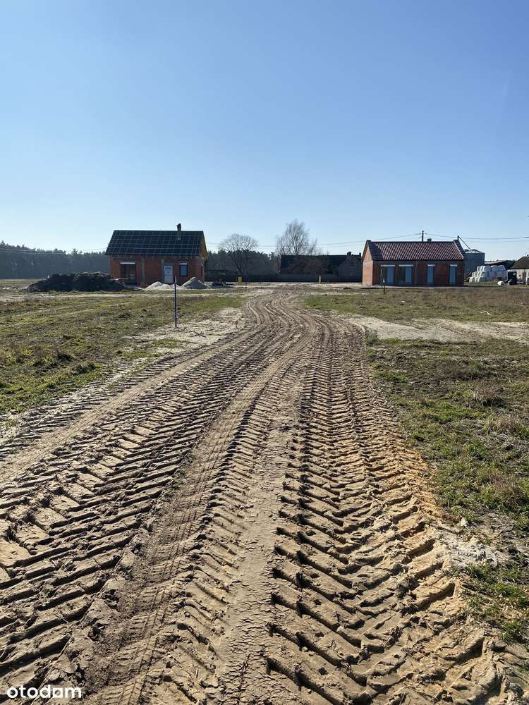 Las, jezioro, media, gmina Zaniemyśl-2