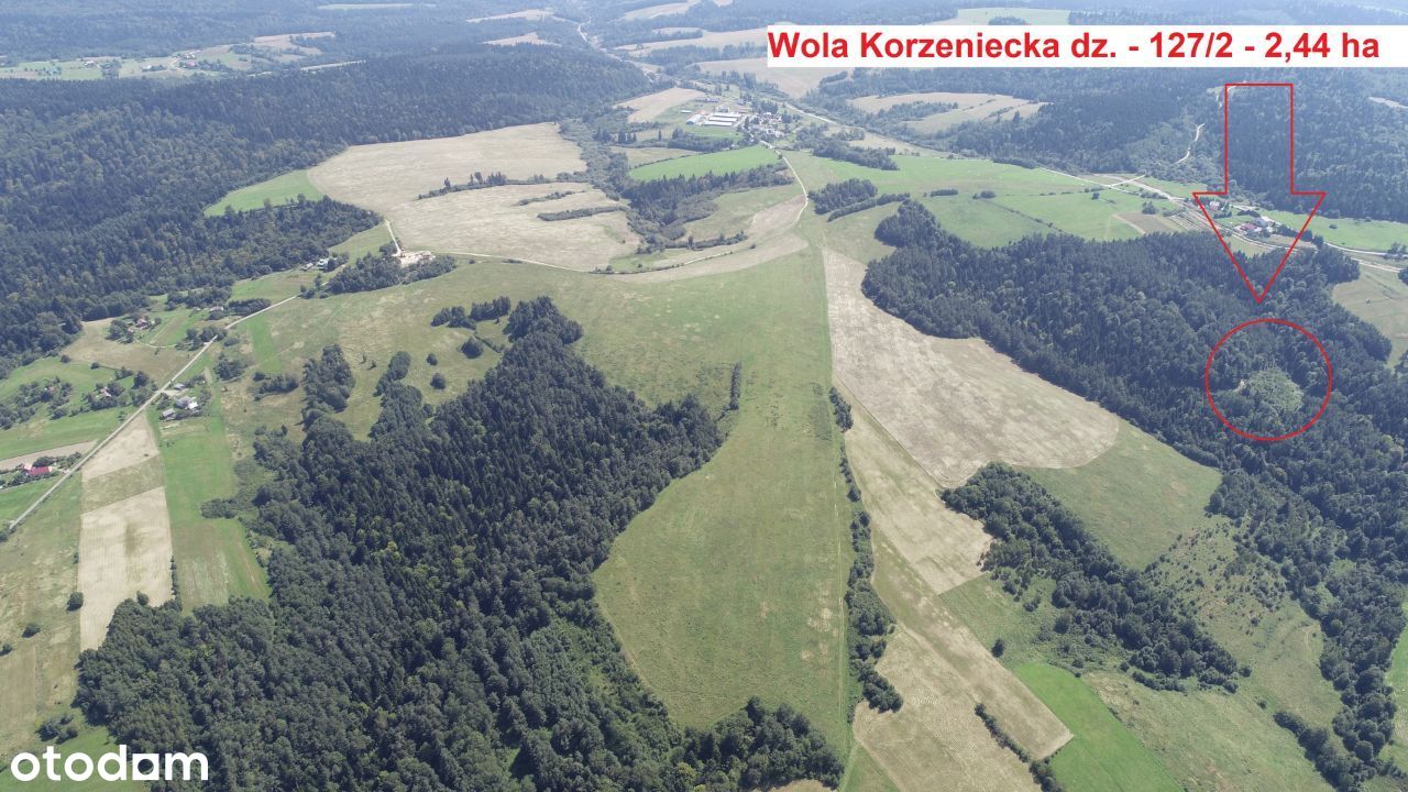 Polana wśród lasu WZ , cisza i spokój bez sąsiadów