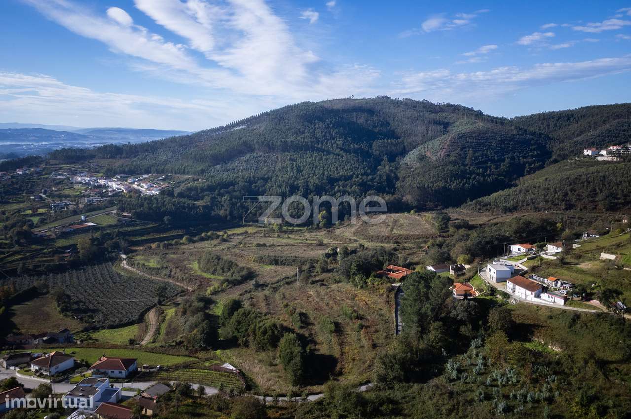 Quinta em Baltar com 35 Hectares de Terreno - Grande imagem: 4/52