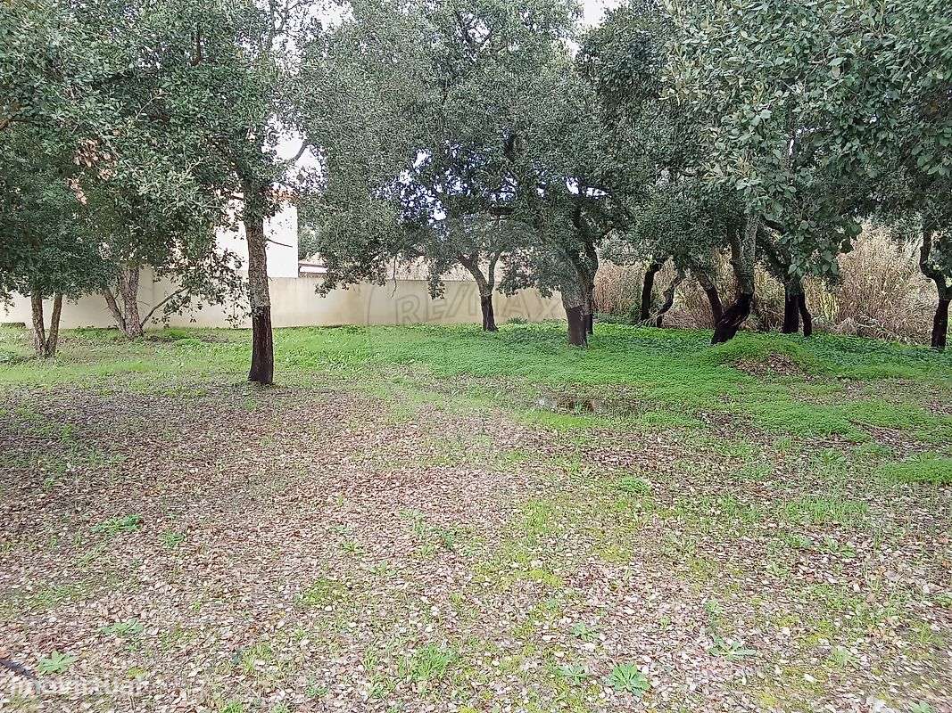 Terreno  para venda - Grande imagem: 2/9