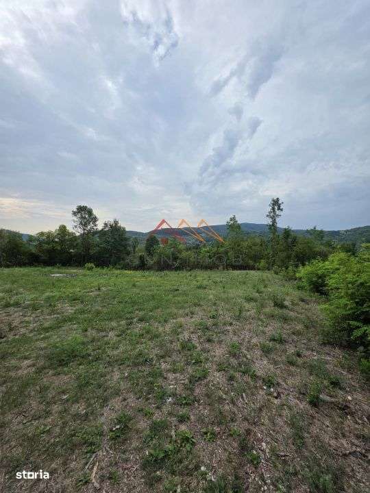 Teren Intravilan, utilitati in zona, 2600 mp, Draganeasa, Prahova-2