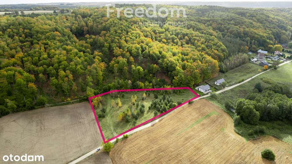 Działka budowlana przy lesie - dwa jeziora !!! - Pełny obrazek: 4/20