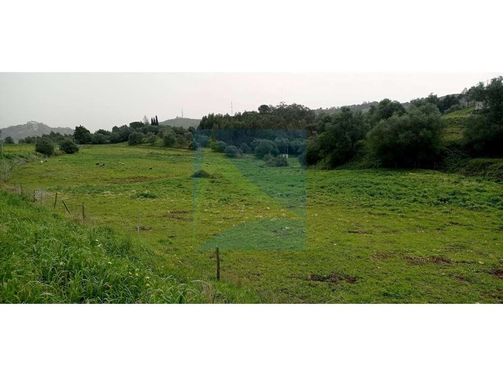 Herdade em Plena Serra da Arrábida 340.000 m2-11