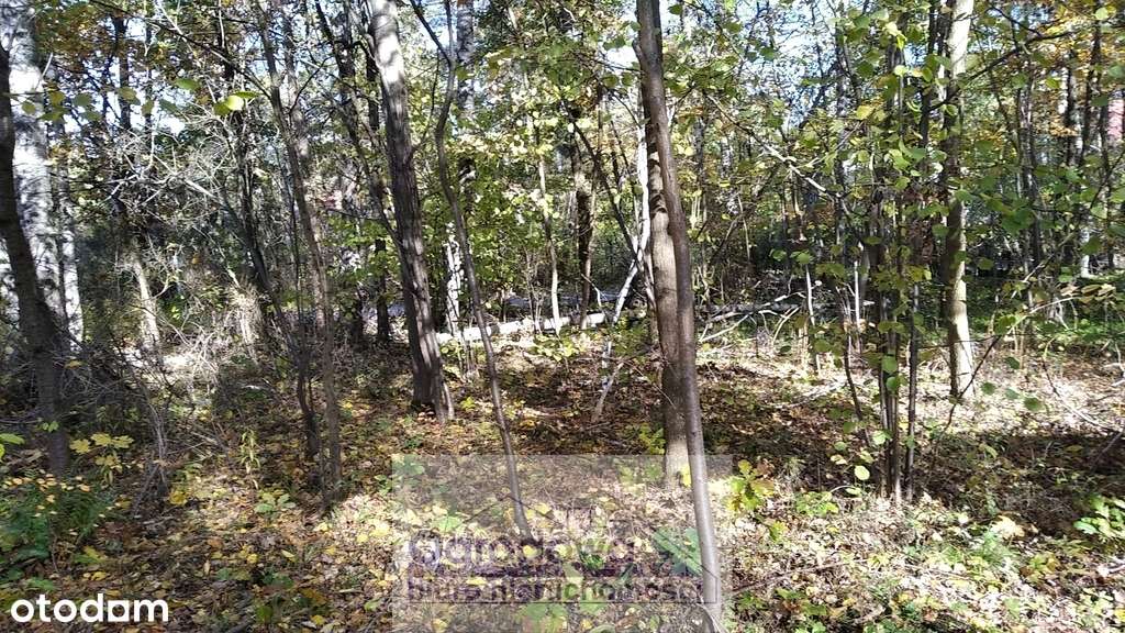 Cicha, foremna działka w Magdalence-0