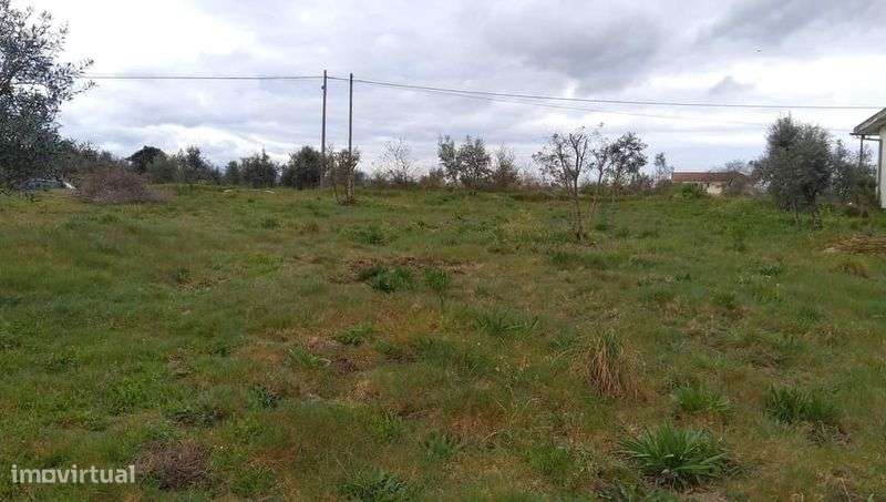 Terreno  em Travanca de Lagos - Grande imagem: 4/7