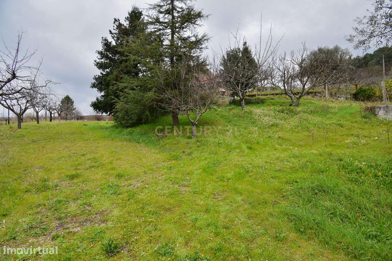 Quinta com construção em Pedra 20.000 m2 de terreno e Licença de Aloja-35