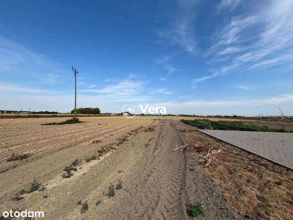 Działka, 4 232 m², Ożarów Mazowiecki - Pełny obrazek: 4/5