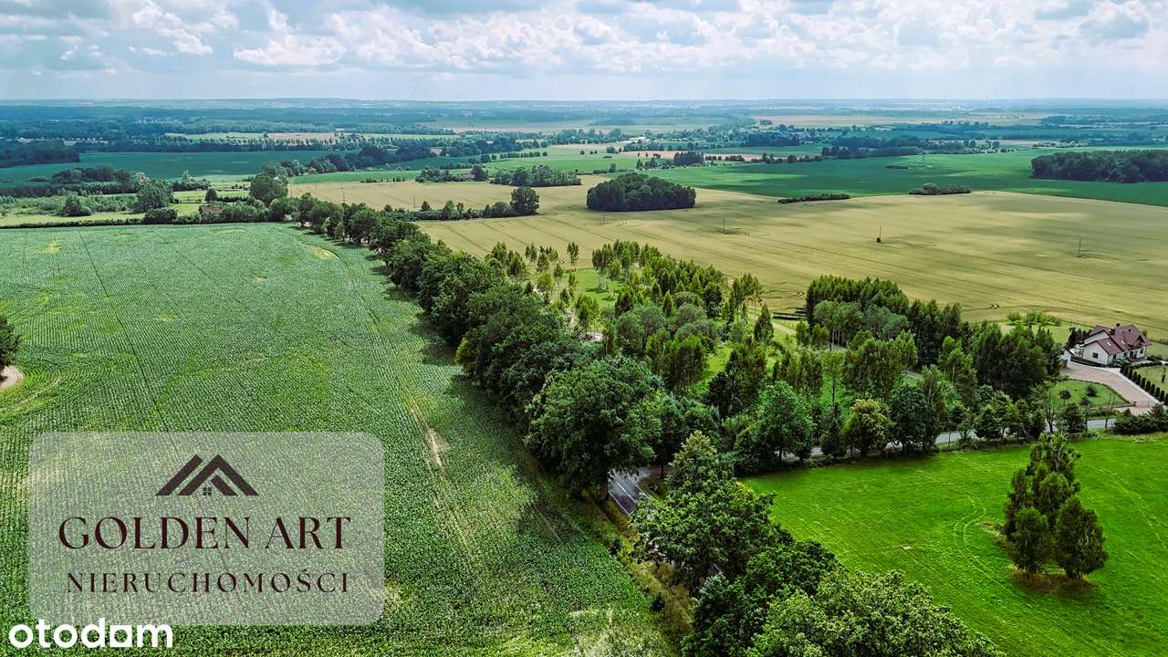 Działka na sprzedaż: Gmina Pasłęk | 5306 m² | WZ | Oczko wodne-13