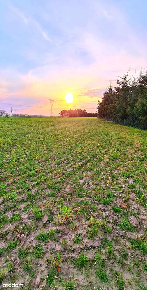 Duża działka z wydanymi warunkami zabudowy  Parsów