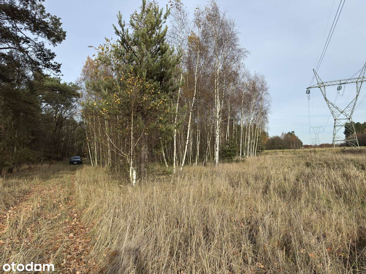 Garki, gm. Odolanów-5