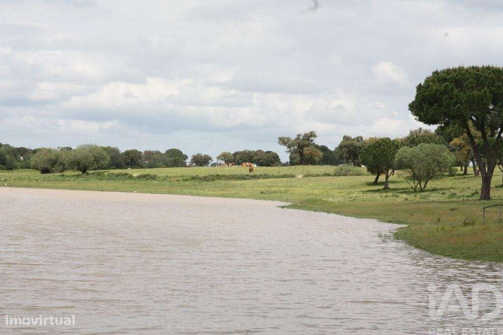 Terreno para construção T16 em Poceirão e Marateca de 20903,00 m2 - Grande imagem: 4/30