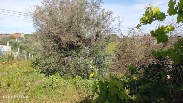 Casa típica do Ribatejo em Alvega, concelho de Abrantes. - Grande imagem: 4/26