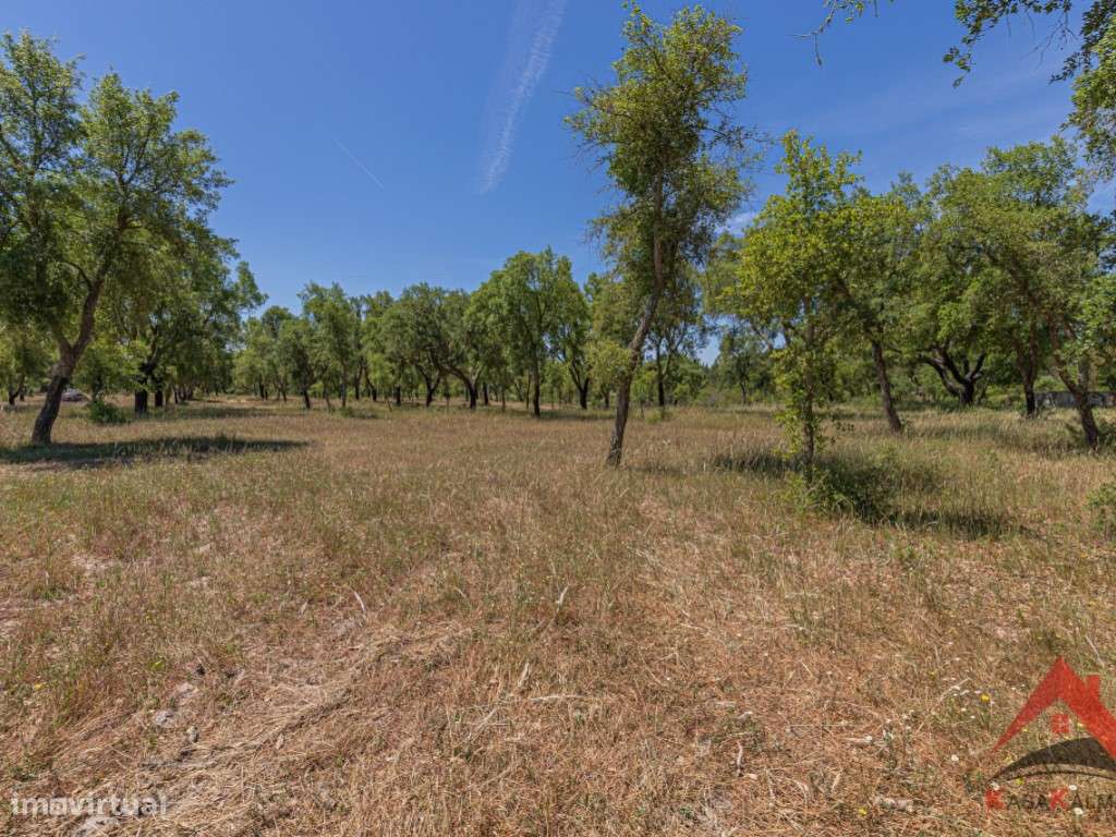 HERDADE DO BARRANCO - OPORTUNIDADE ÚNICA PARA TURISMO E INVESTIMENTO-45