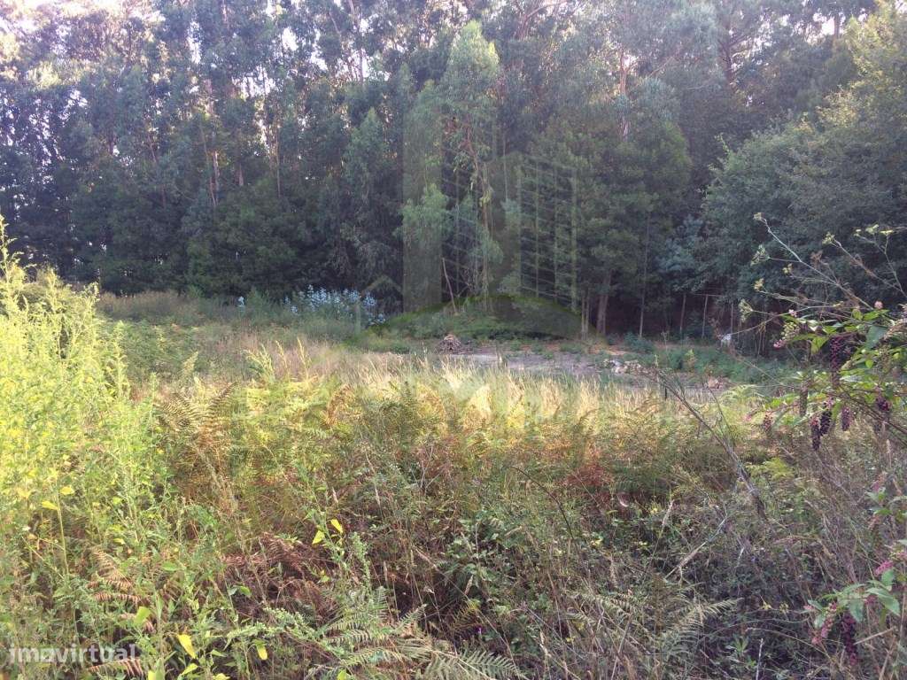 Terreno para Construção - Grande imagem: 4/5