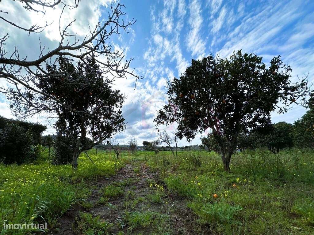 Monte Alentejano com uma moradia + Anexo, Cabeça Da Cabra, Perto de...-24