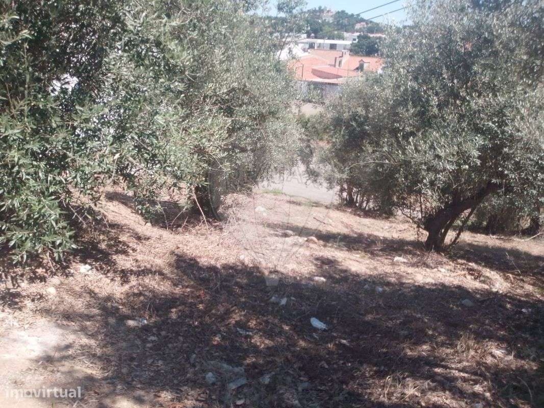 Terreno  para venda - Grande imagem: 5/11