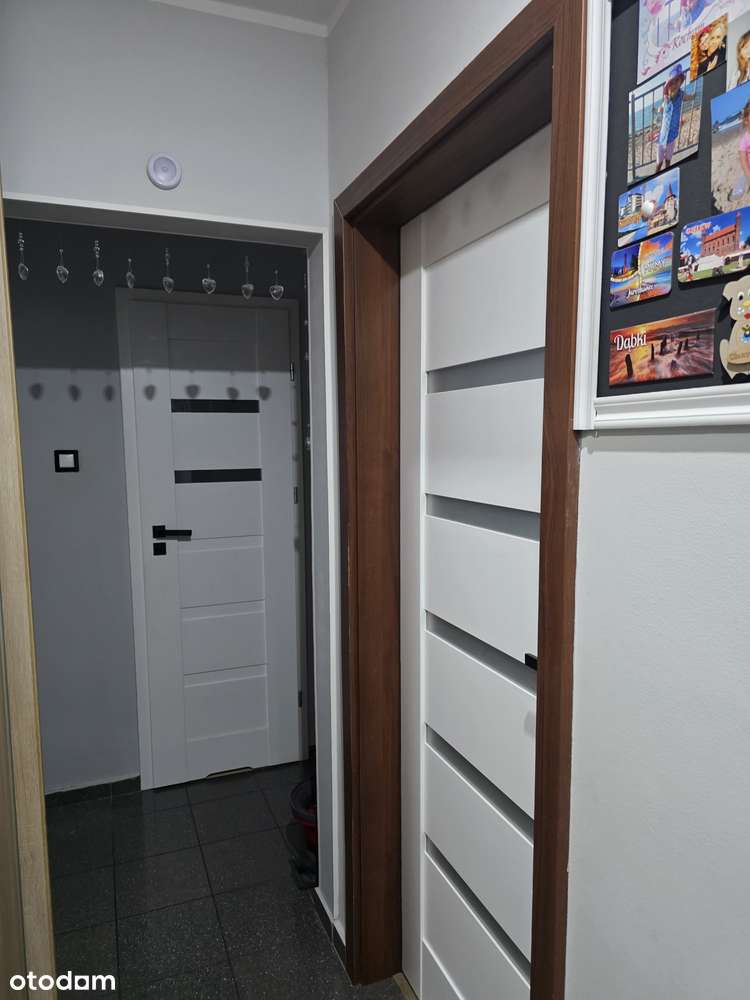 Błonie - Pełny obrazek: 5/12