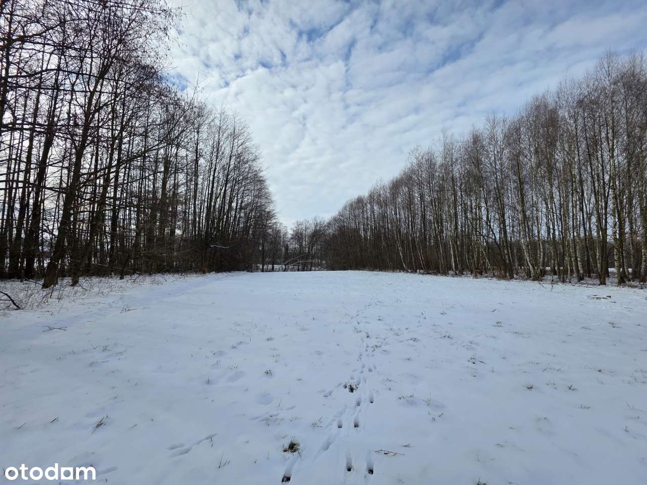 Działka 19 arów – idealna na rekreację | Wójtowa-4