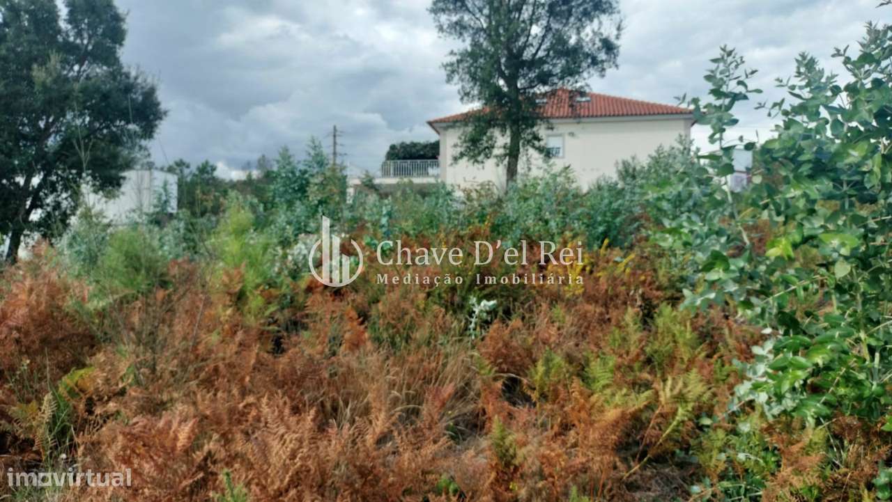 Terreno Para Construção  Venda em Cavernães,Viseu - Grande imagem: 5/11