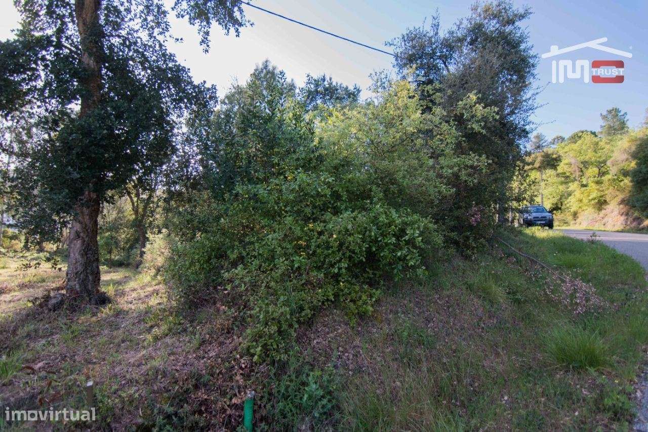 Terreno para construção, de moradia. - Grande imagem: 5/5