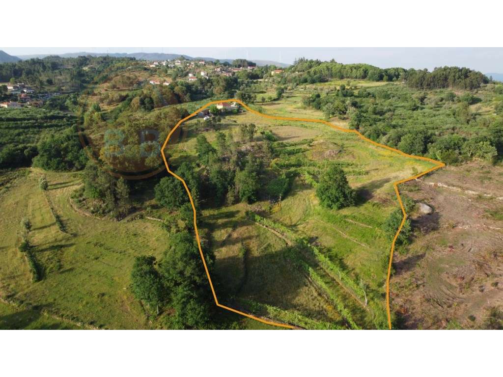 Quinta Rural em Leiradas, Rio Douro, Cabeceiras de Basto-3