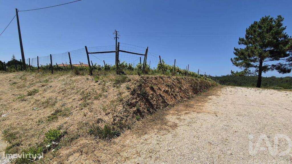 Terreno em Parceiros e Azoia de 2687,00 m2 - Grande imagem: 3/20