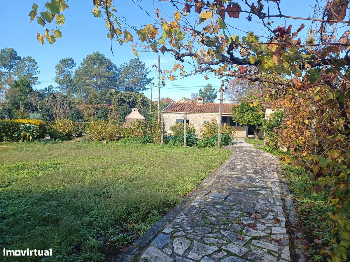 Mor.INDIVIDUAL  2300m2 de terreno + artigo urbano (Tipo T0)  em Lago - Grande imagem: 3/46