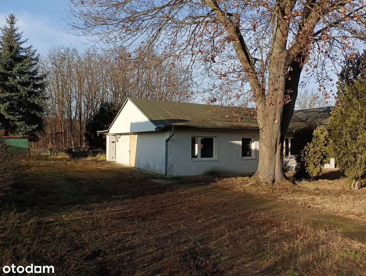 Dom z dużą działką w spokojnej okolicy – Cybinka, ul. Leśna-0