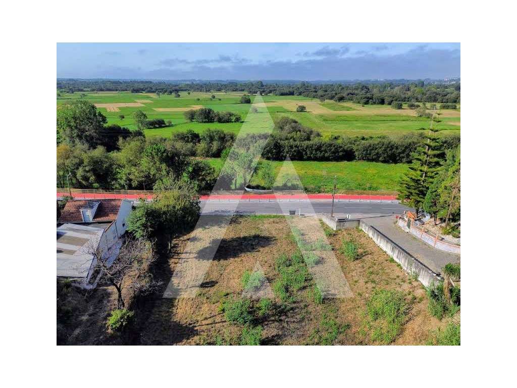Terreno com 11.000 m² em Frossos - Albergaria-a-Velha - Grande imagem: 4/16