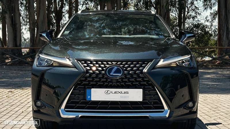 Lexus UX 300e Luxury+TAE+JLL18 - 2