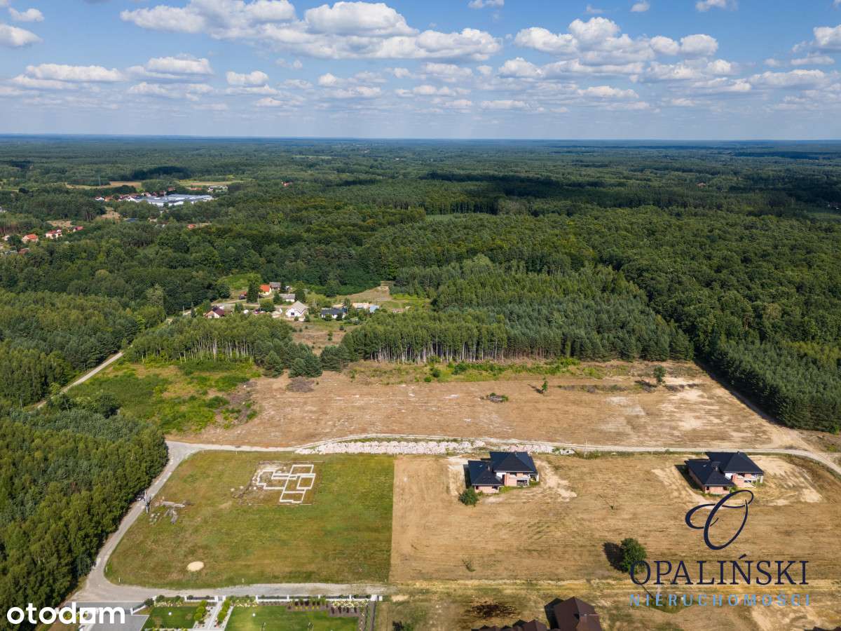 Otoczenie lasu | Cicha okolica | Mpzp | Inwestycja-6