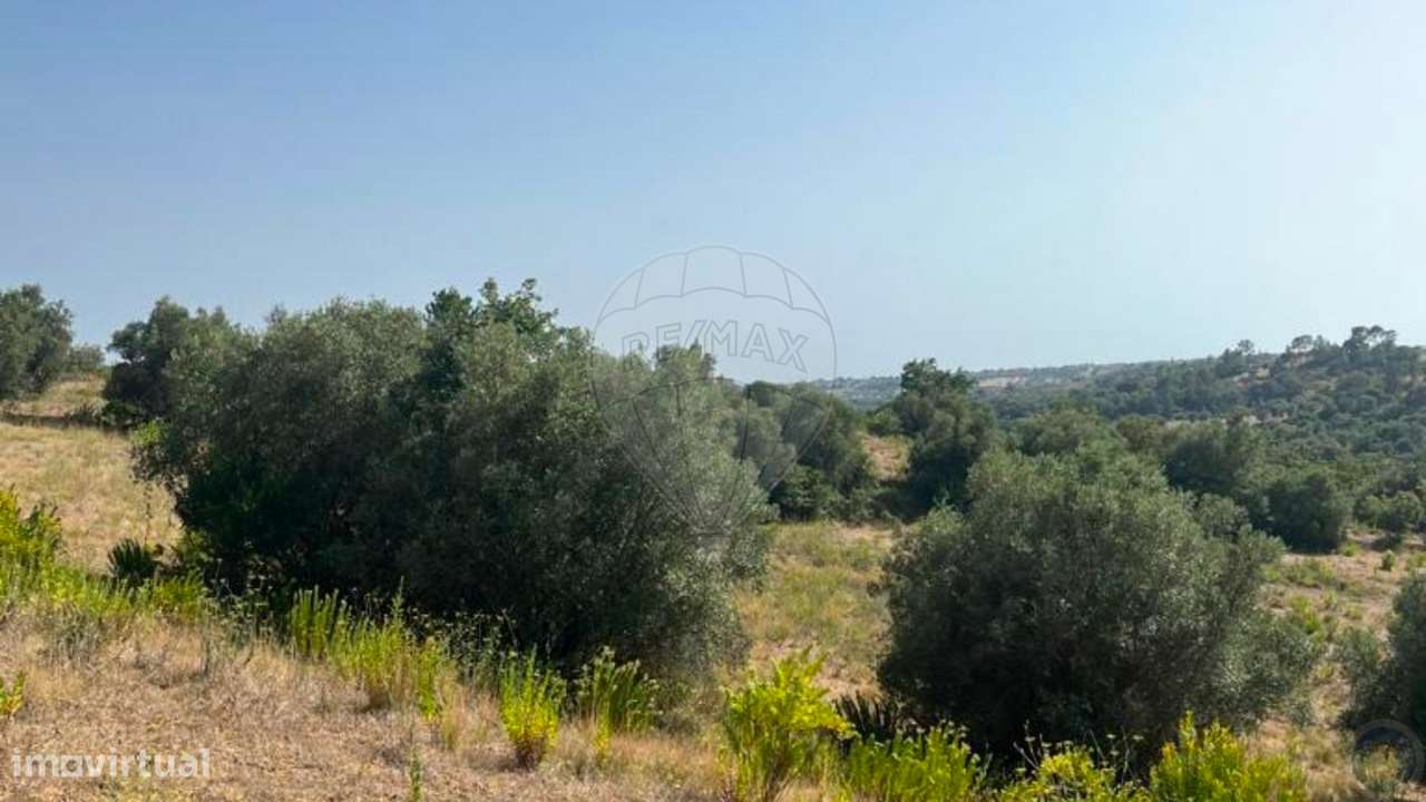 Terreno  para venda - Grande imagem: 5/16