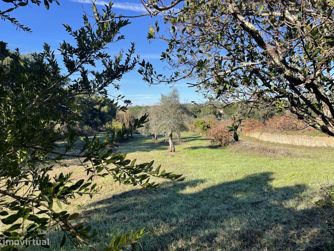 Terreno Rústico  20 000m2 Abrantes - Grande imagem: 5/42