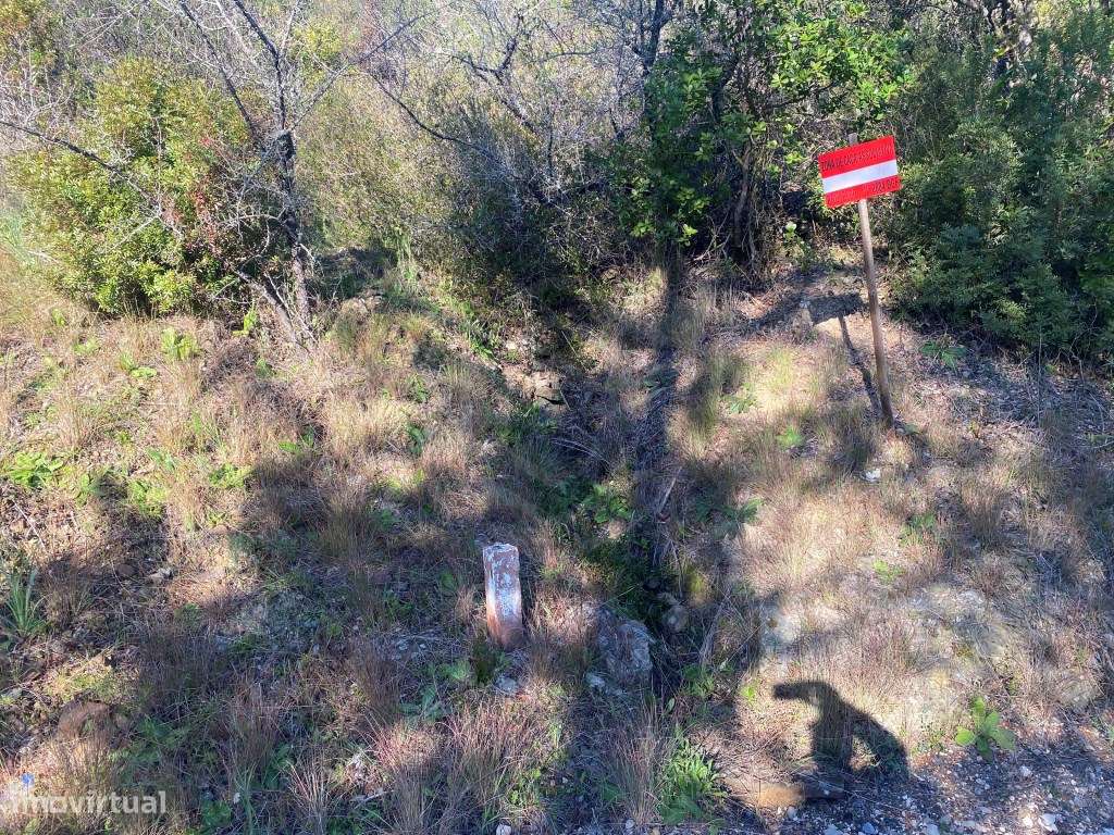 Lote de terreno rústico com 4.750m2, Loulé, Algarve - Grande imagem: 4/16