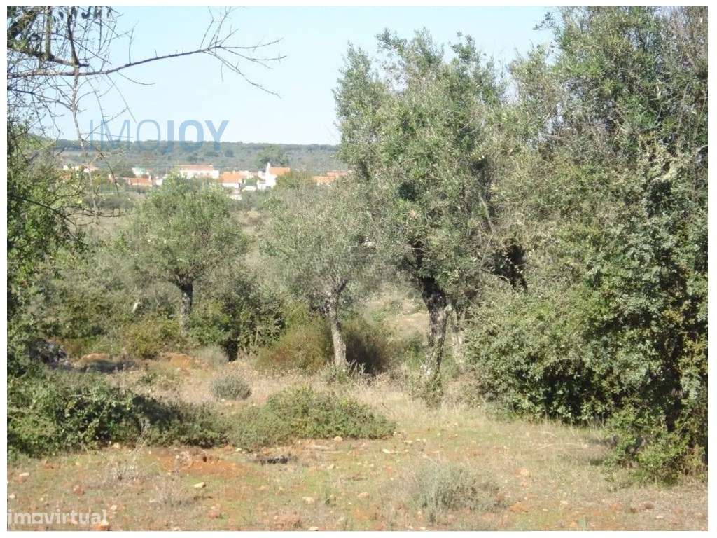 Terreno Rústico em Borba com Possibilidade de Construção - Grande imagem: 4/13